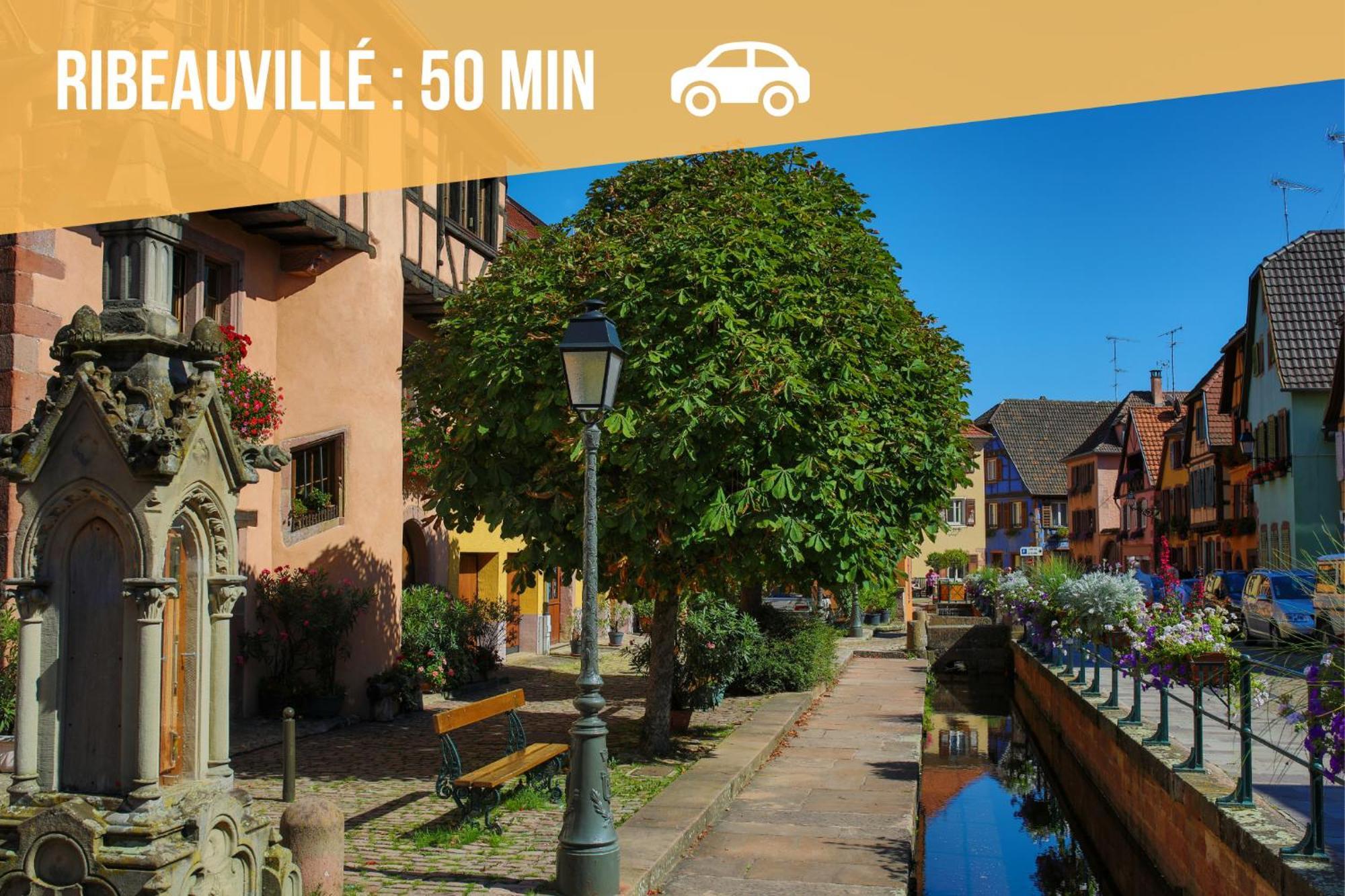 Lit Rond Tres Grand Et Confortable - Garage Possible Ou Parking Gratuit Rue - Gare 2 Min Et Ville 4 Min En Tram - Ciel Etoile - Netflix Videoprojecteur - Luxe Et Evasion Estrasburgo Exterior foto